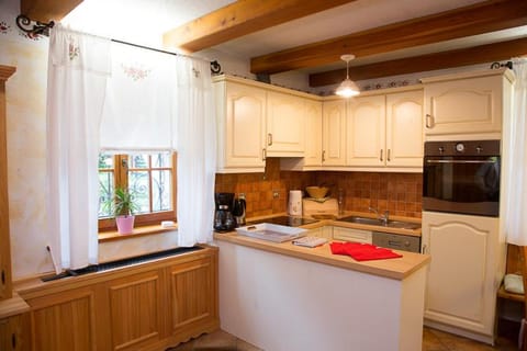 Kitchen or kitchenette, dishwasher, minibar, stove