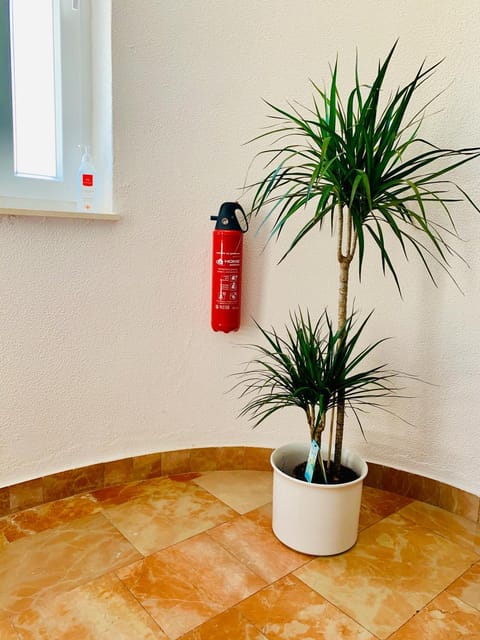 Villa Amica Apartment in Šibenik-Knin County, Croatia