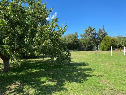 Garden view, Inner courtyard view