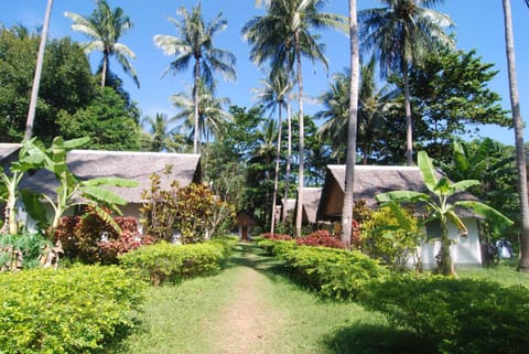 Day, Garden, Other