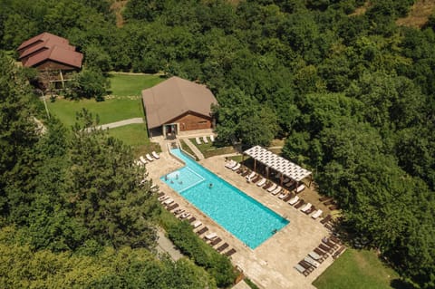 Natural landscape, Bird's eye view, Pool view, Swimming pool