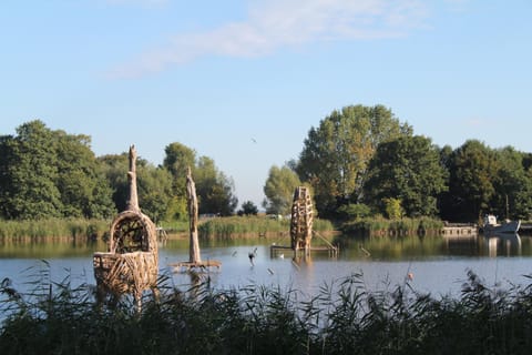 Day, Neighbourhood, Natural landscape, Summer, Other