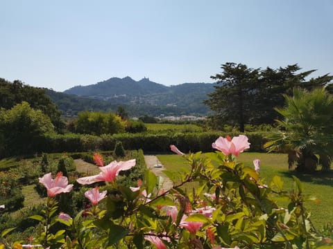 Garden, Garden view