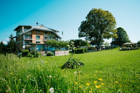 Property building, Garden, Entertainment