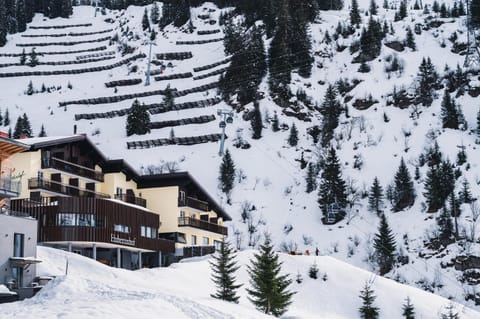 Property building, Natural landscape, Winter