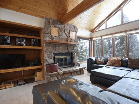 Natural landscape, TV and multimedia, Living room, fireplace, furniture