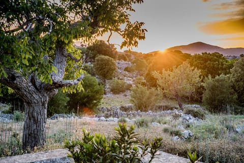 Vasilikata Apartment in Lasithi