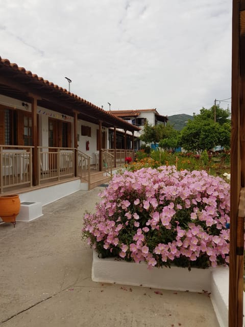 Facade/entrance, Garden, Balcony/Terrace, Garden view