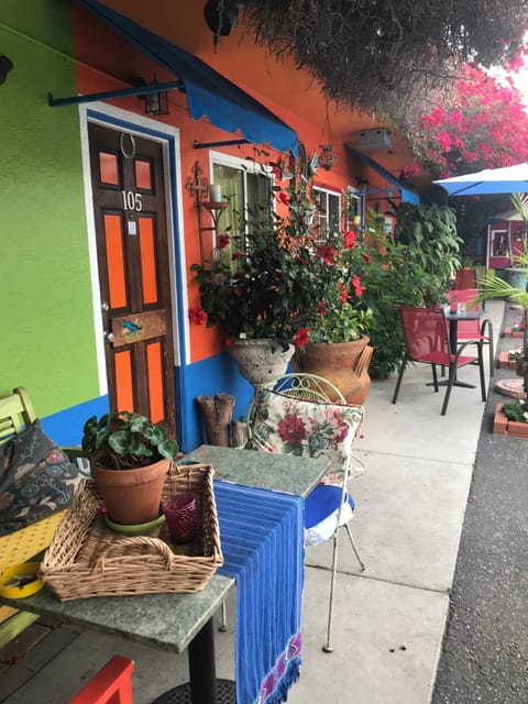 Patio, Garden, Garden view