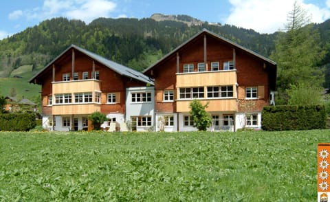 Property building, Summer