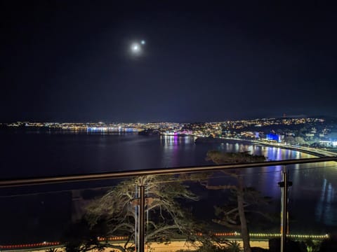 Panoramic sea views, sleeps 4, Torquay Apartment in Torquay