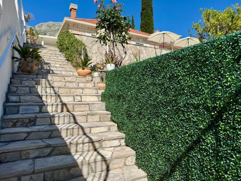 Day, Garden, Garden view