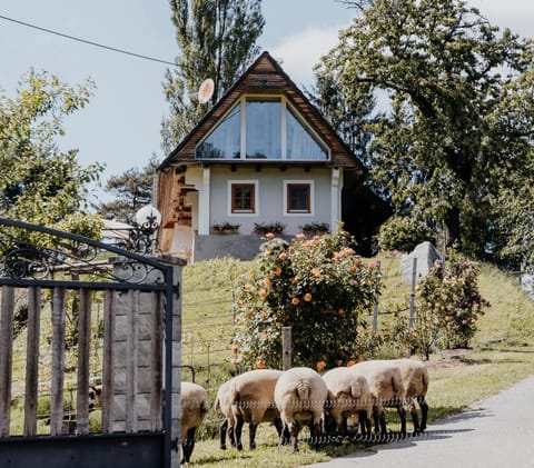 Property building, Animals