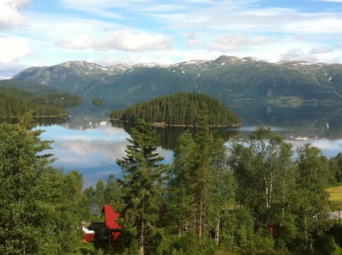 Summer, View (from property/room)