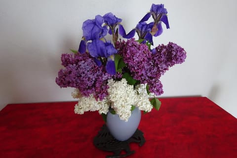 L'aligier - Les gites de Pierregras House in Provence-Alpes-Côte d'Azur