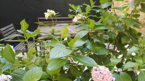 Garden, Garden