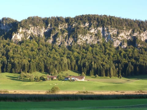 Pfandlhof Bed and Breakfast in Walchsee