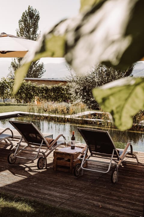 Garden, Garden view, Pool view, Swimming pool, sunbed