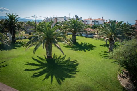 Bird's eye view, Garden, Garden view