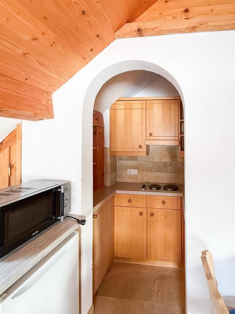 Arndt's Bootshaus Apartment in Salzburgerland