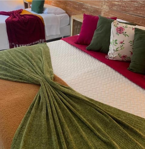 Estalagem Meu Sonho Bed and Breakfast in Resende