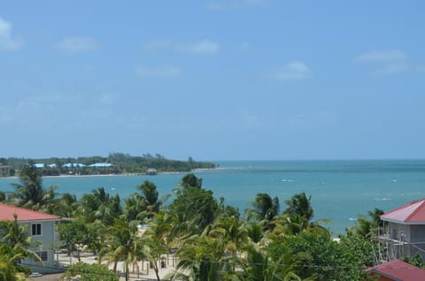 Patio, Bird's eye view, Balcony/Terrace, Sea view