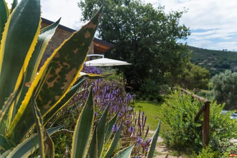 Garden, View (from property/room)