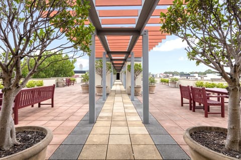 Patio, Garden, Balcony/Terrace