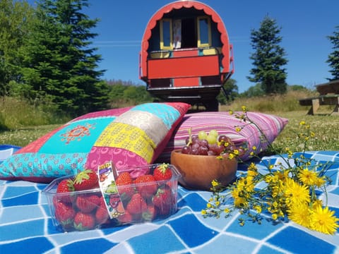 Clissmann Horse Caravans Glamping Luxury tent in Wicklow, Co. Wicklow, Ireland