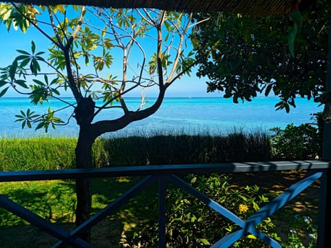 Natural landscape, Garden view, Sea view