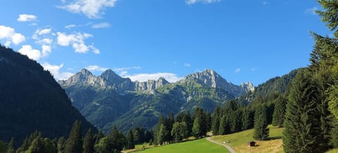 Ferienhaus Alpenglück House in Tyrol