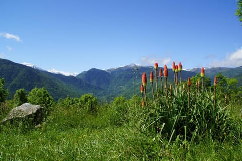 Natural landscape, Mountain view