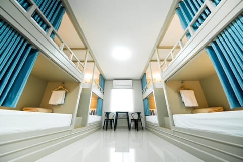 Bed, Photo of the whole room, Bedroom, bunk bed