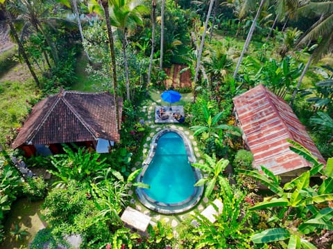 Day, Garden, Garden view, Pool view, Swimming pool