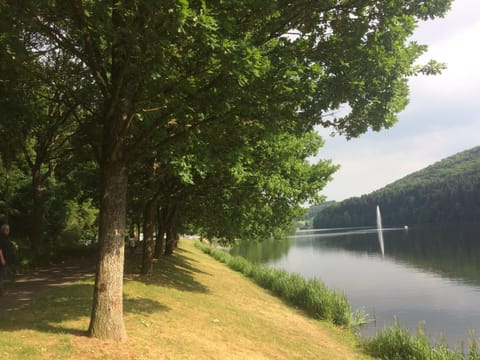 Blick in die Südeifel House in Luxembourg