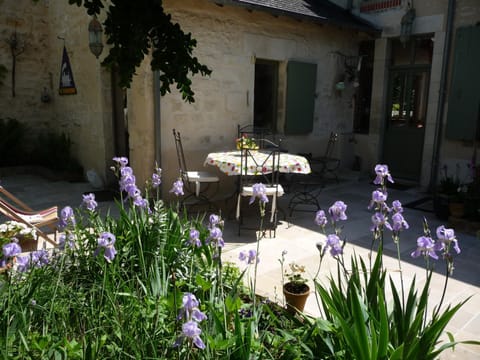 Patio, Garden
