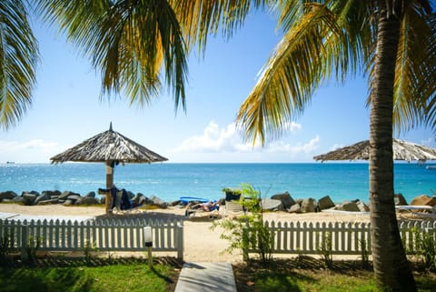 Day, Beach, On site