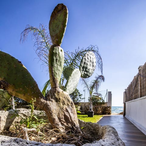 Garden, Decorative detail, Sea view