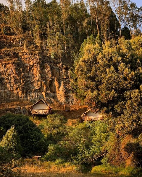 Natural landscape