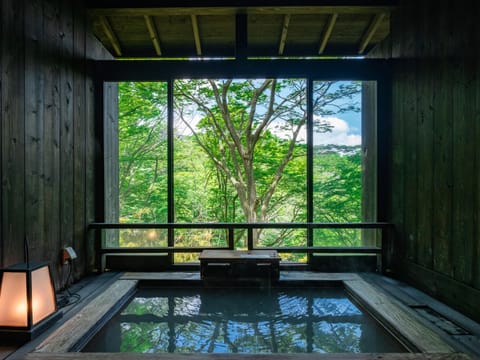 Hot Spring Bath, Open Air Bath