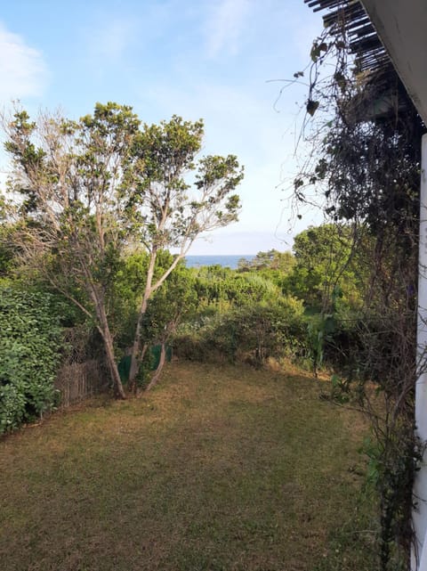 Mini Villa à 100m de la mer avec prise de recharge élec privative House in Sari-Solenzara