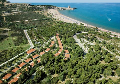 Bird's eye view, Summer, On site, Sea view
