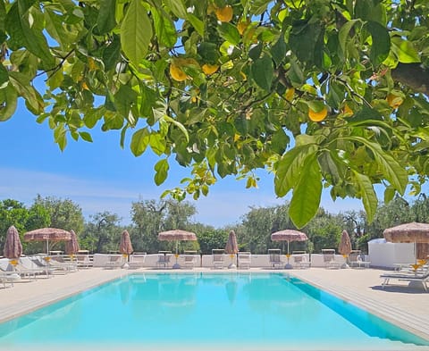 Solarium, Pool view, Swimming pool, Swimming pool, sunbed