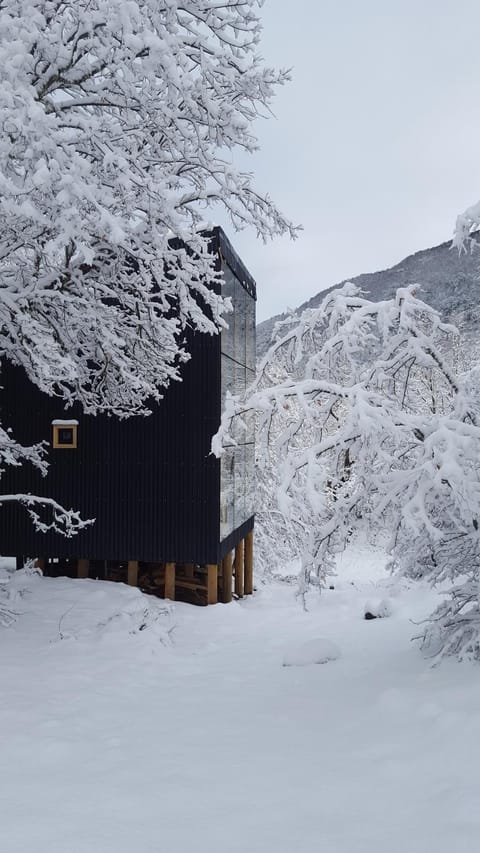 Property building, Winter