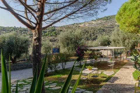 Natural landscape, Garden, Garden view, Mountain view