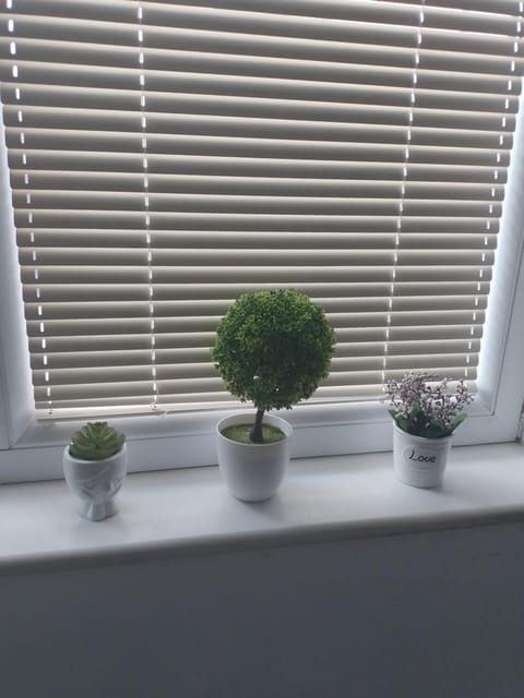 Kibar Apartment in Ohrid