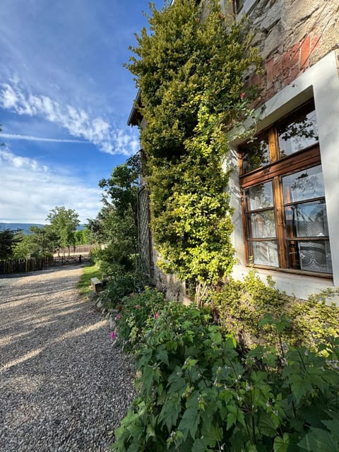 Property building, Garden, Garden