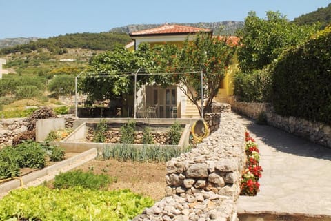 Neighbourhood, Garden, On site