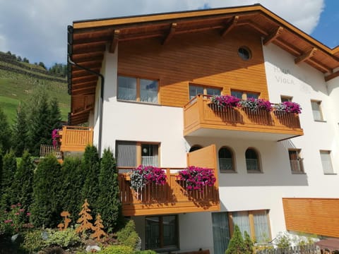 Property building, Internal: Not applicable to any particular room