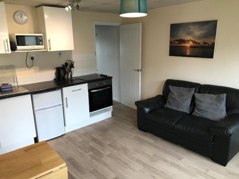 Kitchen or kitchenette, Living room, Seating area, minibar, pet friendly, stove